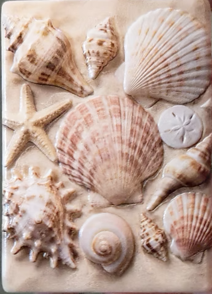 Custom seashell refrigerator magnet